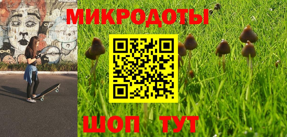 Гатчина  Галлюциногенные грибы прущие грибы  что такое наркотик  Вход с VPN 